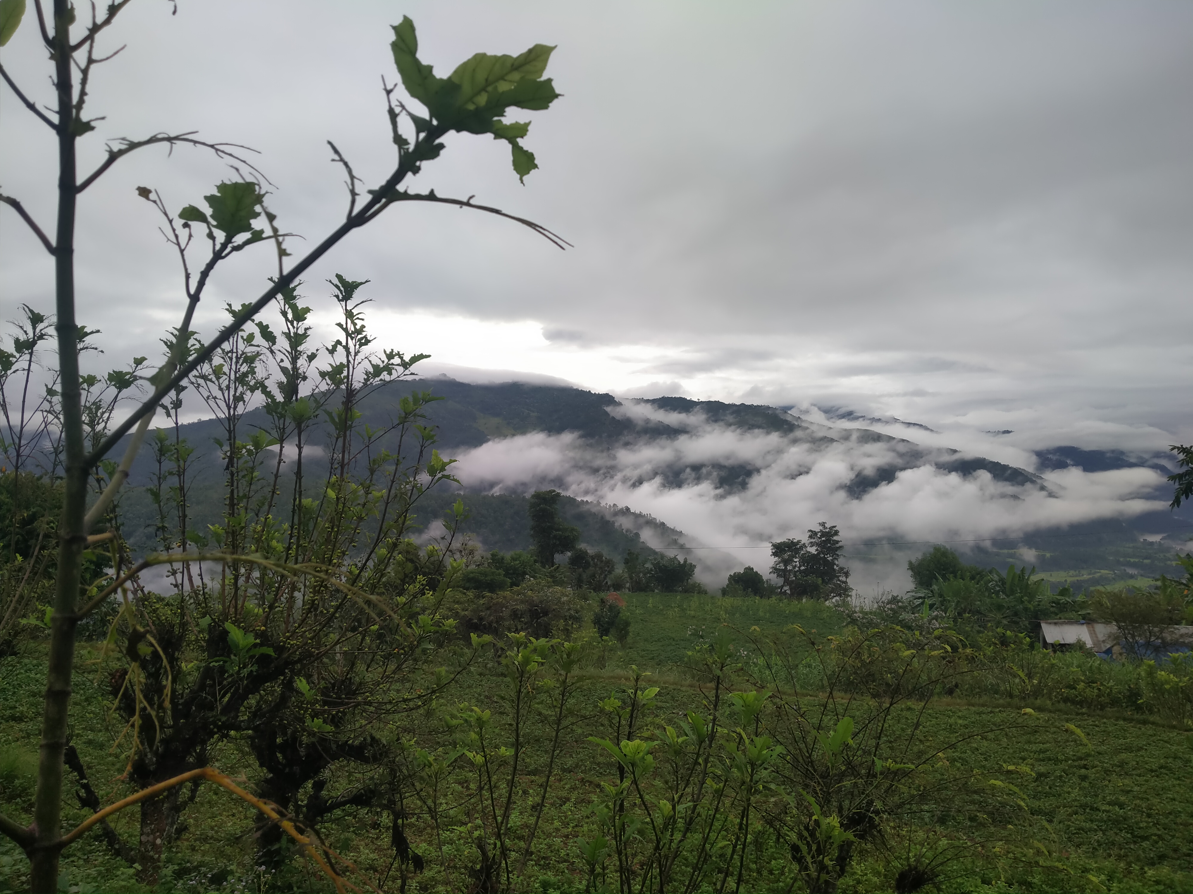 आज पनि चट्याङ, हुरी र असिनासहित वर्षाको सम्भावना